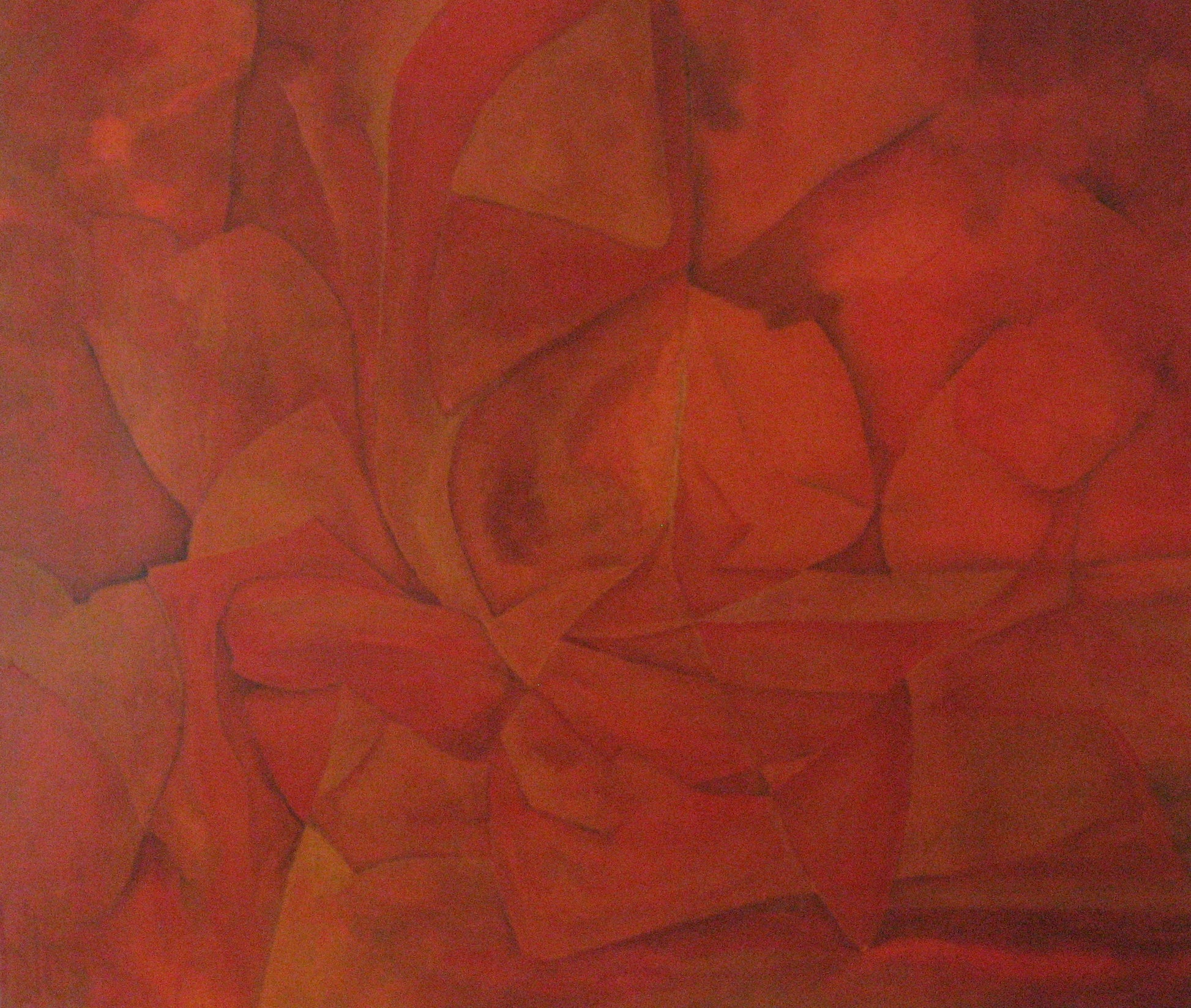 Origineel schilderij nr. 12 door Cees Korver – abstract botanisch in oranje en rood – 100x118 cm – olie op doek – te koop