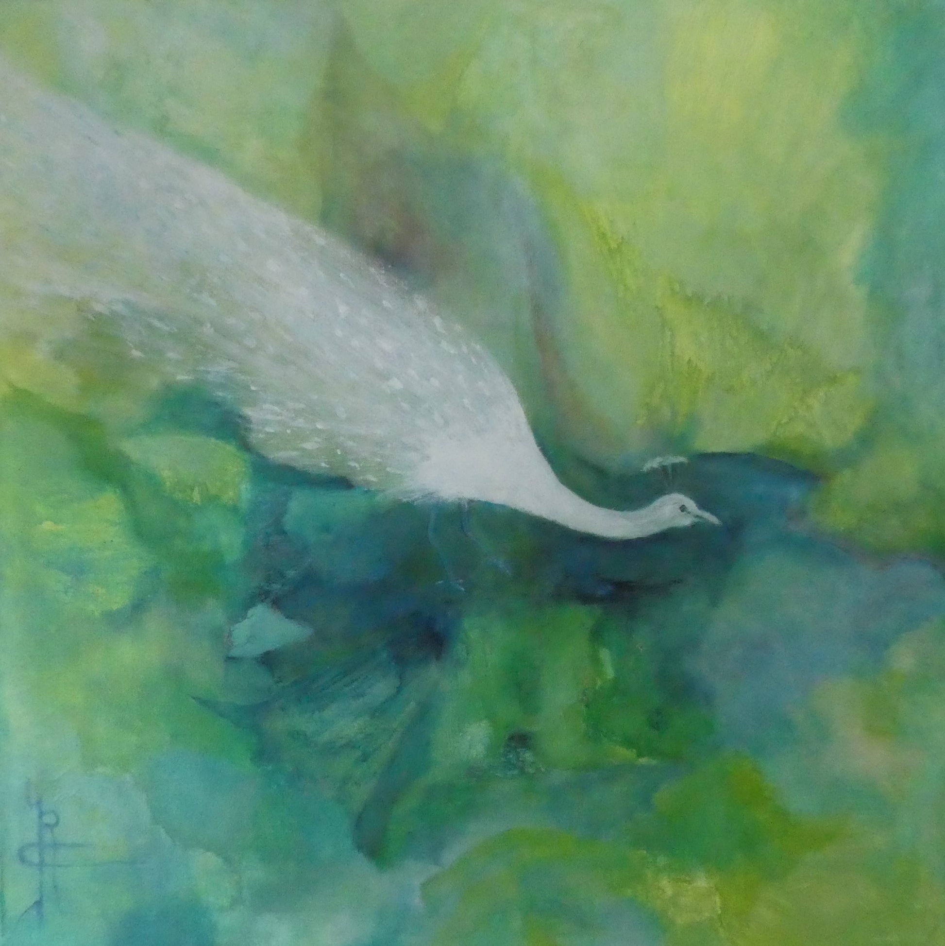 Origineel schilderij nr. 81 door Cees Korver – witte vogel in vlucht op groene achtergrond – 75x75 cm – olie op doek – te koop
